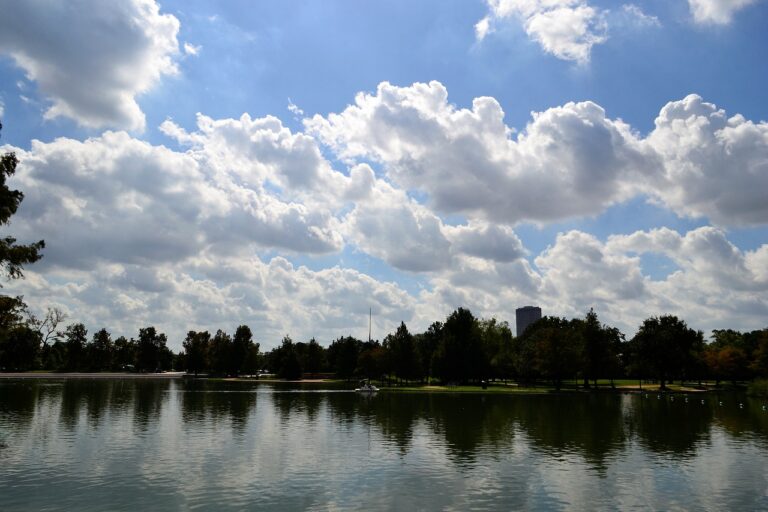 lake with trees and clouds